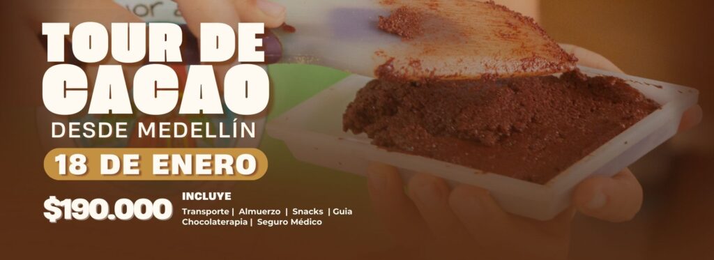Tour del cacao