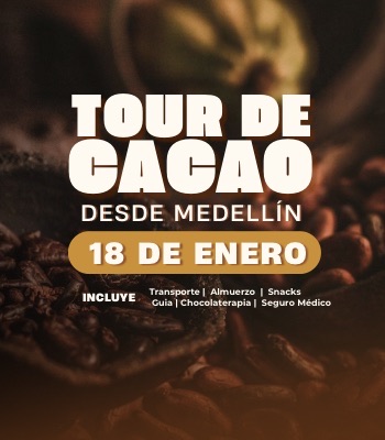 Tour del cacao