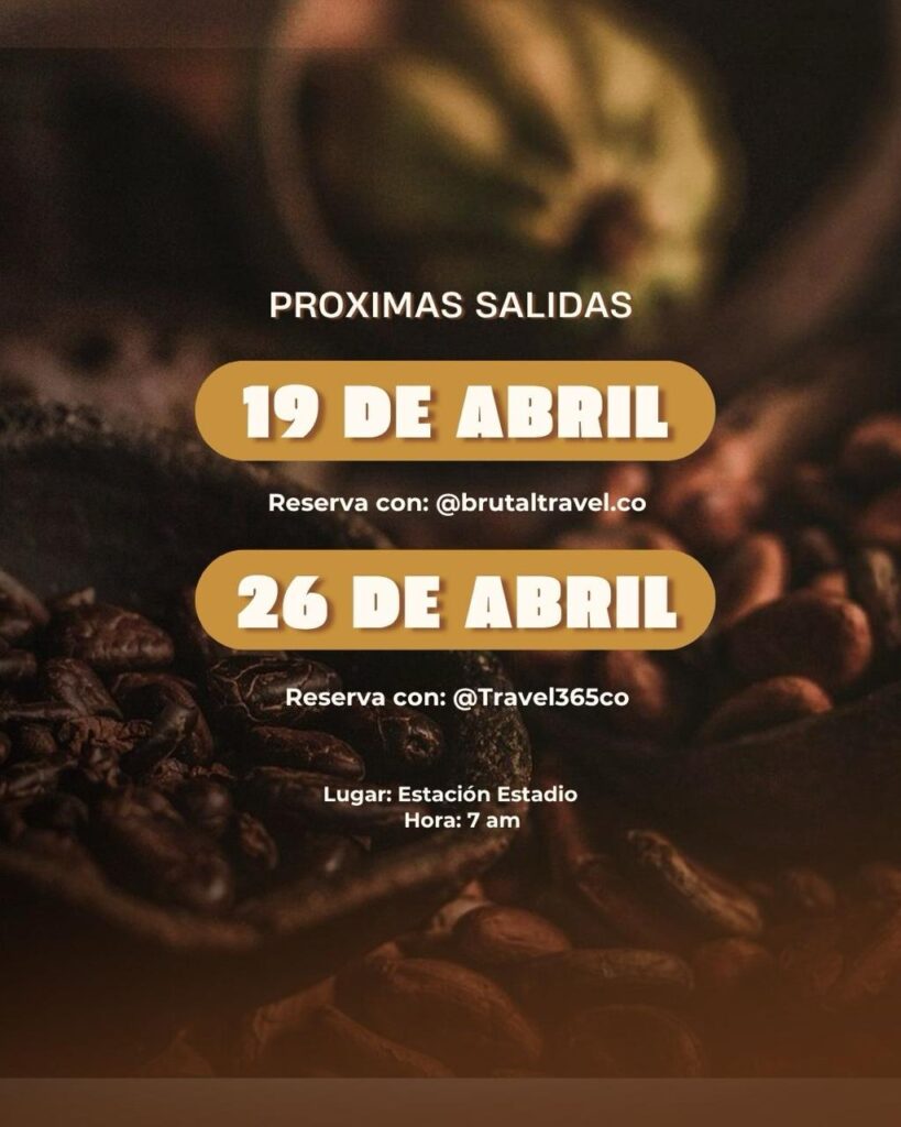 Tour del cacao